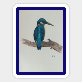 Blue Kingfisher - bird art Sticker